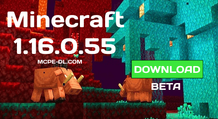 Minecraft 1.16.0.55 for Android