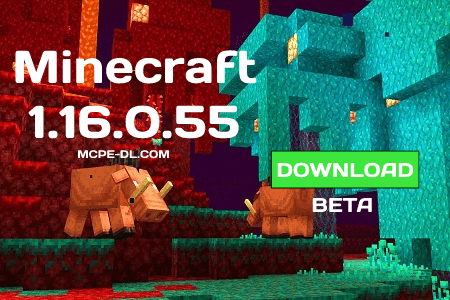 Minecraft 1.16.0.55 for Android
