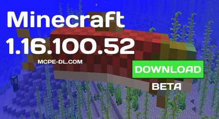 Minecraft PE 1.16.100.52 for Android
