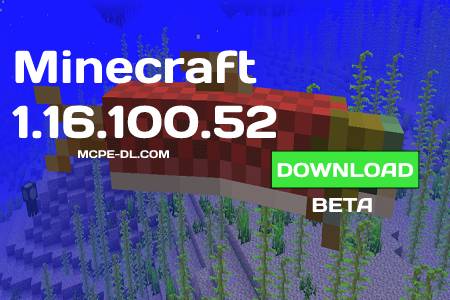 Minecraft PE 1.16.100.52 for Android