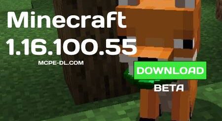 Minecraft PE 1.16.100.55 for Android