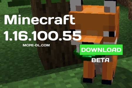 Minecraft PE 1.16.100.55 for Android
