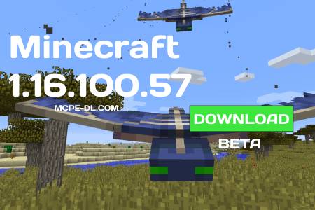 Minecraft PE 1.16.100.57 for Android