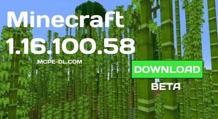 Minecraft PE 1.16.100.58 for Android