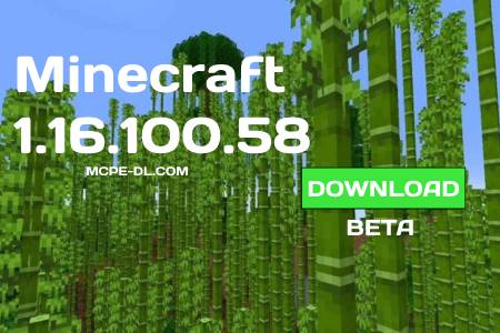 Minecraft PE 1.16.100.58 for Android