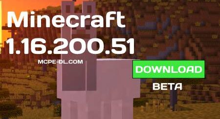 Minecraft PE 1.16.200.51 for Android
