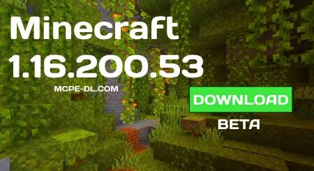 Minecraft PE 1.16.200.53 for Android