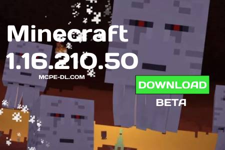 Minecraft PE 1.16.200.02 for Android
