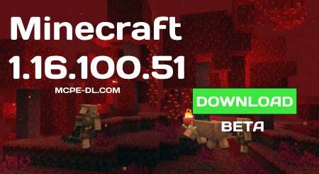 Minecraft PE 1.16.100.51 for Android