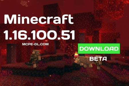 Minecraft PE 1.16.100.51 for Android