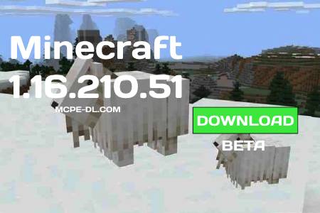 Minecraft PE 1.16.210.51 for Android