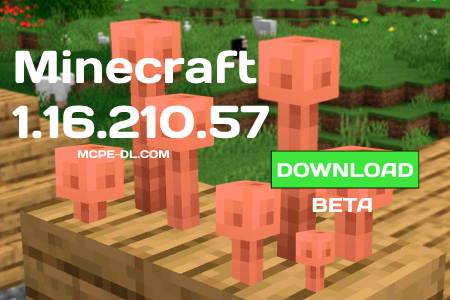 Minecraft PE 1.16.210.57 for Android