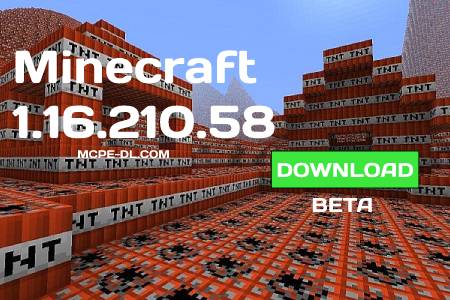 Minecraft PE 1.16.210.58 for Android