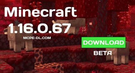 Minecraft PE 1.16.0.67 for Android