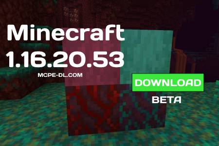 Minecraft PE 1.16.20.53 for Android