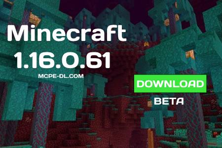 Minecraft PE 1.16.0.61 for Android