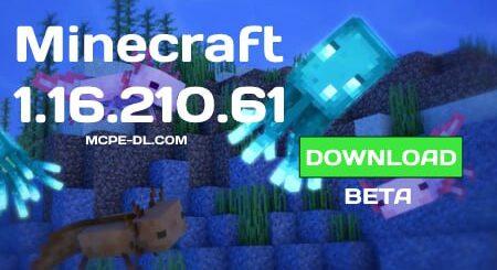 Minecraft PE 1.16.210.61 for Android