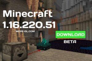 Minecraft PE 1.16.220.51 for Android