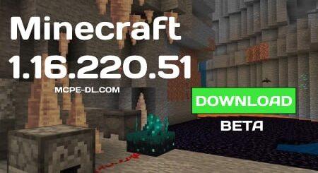 Minecraft PE 1.16.220.51 for Android