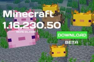 Minecraft PE 1.16.230.50 for Android