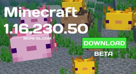 Minecraft PE 1.16.230.50 for Android