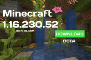 Minecraft PE 1.16.230.52 for Android