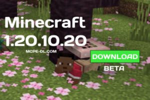 Minecraft PE 1.20.10.20 [Beta version]