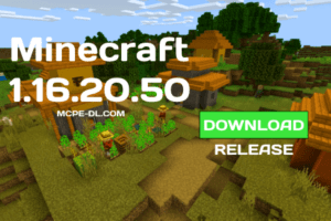 Minecraft PE1.16.220.02 for Android
