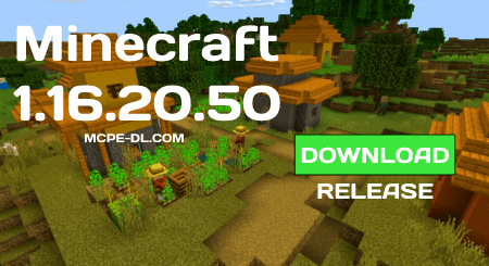 Minecraft PE1.16.220.02 for Android