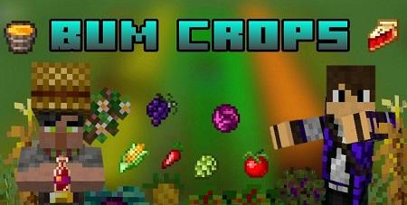 Bum Crops Add-on