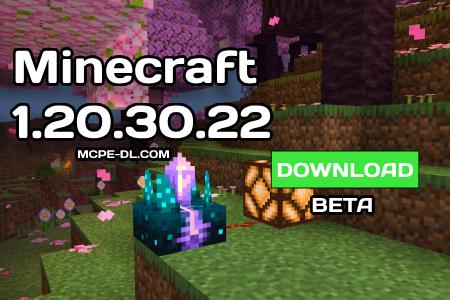 Minecraft PE 1.20.30.22 [Beta version]
