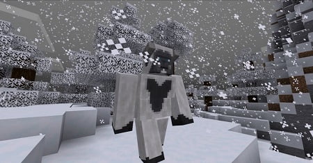Expansive Biomes Addon 1.20+