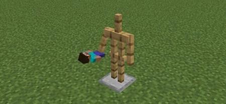 3D Totem From Player Skin Resource Pack