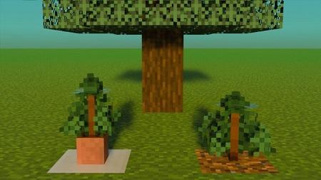 Better Saplings Texture Pack