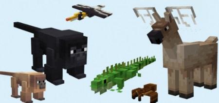 Animal Kingdom addon