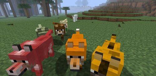 New Wolves Mod