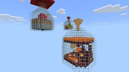 Bottle Survival map