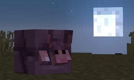Minecraft PE 1.20.62