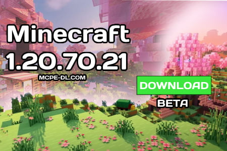 Minecraft PE 1.20.70.21 [Beta version]
