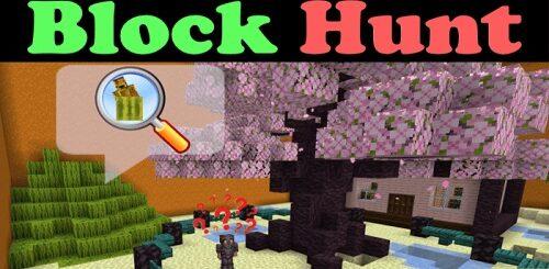 Block Hunter
