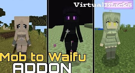 Mob to Waifu addon