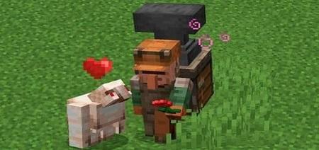Villager Golem Healer