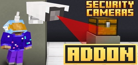 Security Cameras
