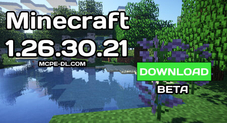 Minecraft PE 1.26.30.21