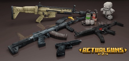 Actual Guns CSO