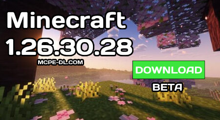 1.26.30.28 Beta / Preview