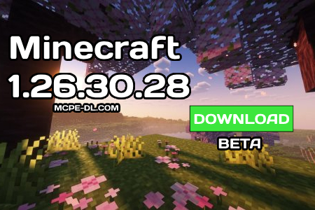 1.26.30.28 Beta / Preview