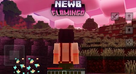 NEWB x FLAMINGO shader pack