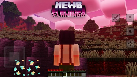 NEWB x FLAMINGO shader pack