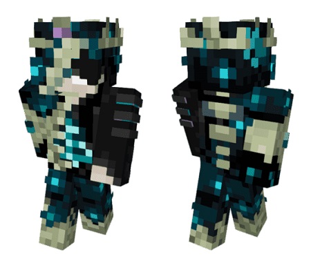 Warden Warrior Skin 